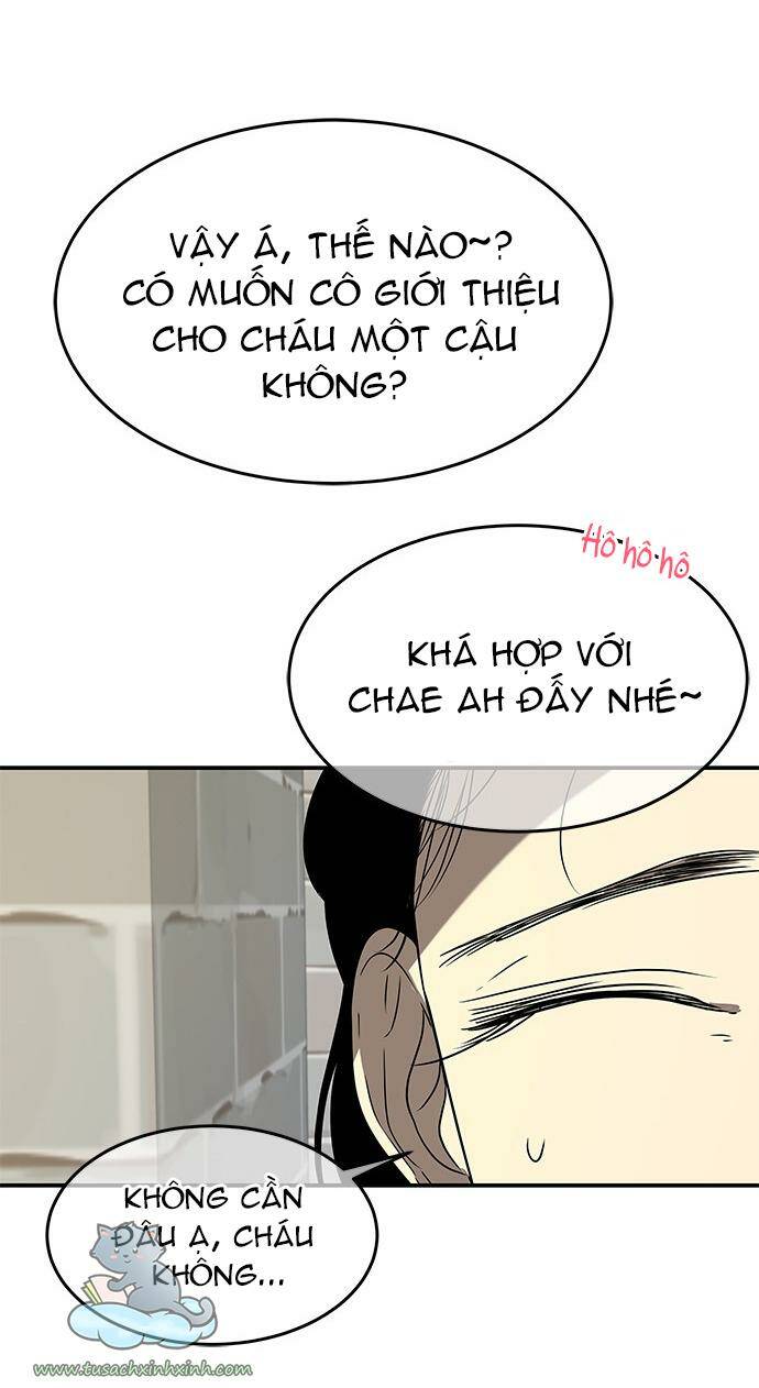 cạm bẫy chapter 36 - Trang 2