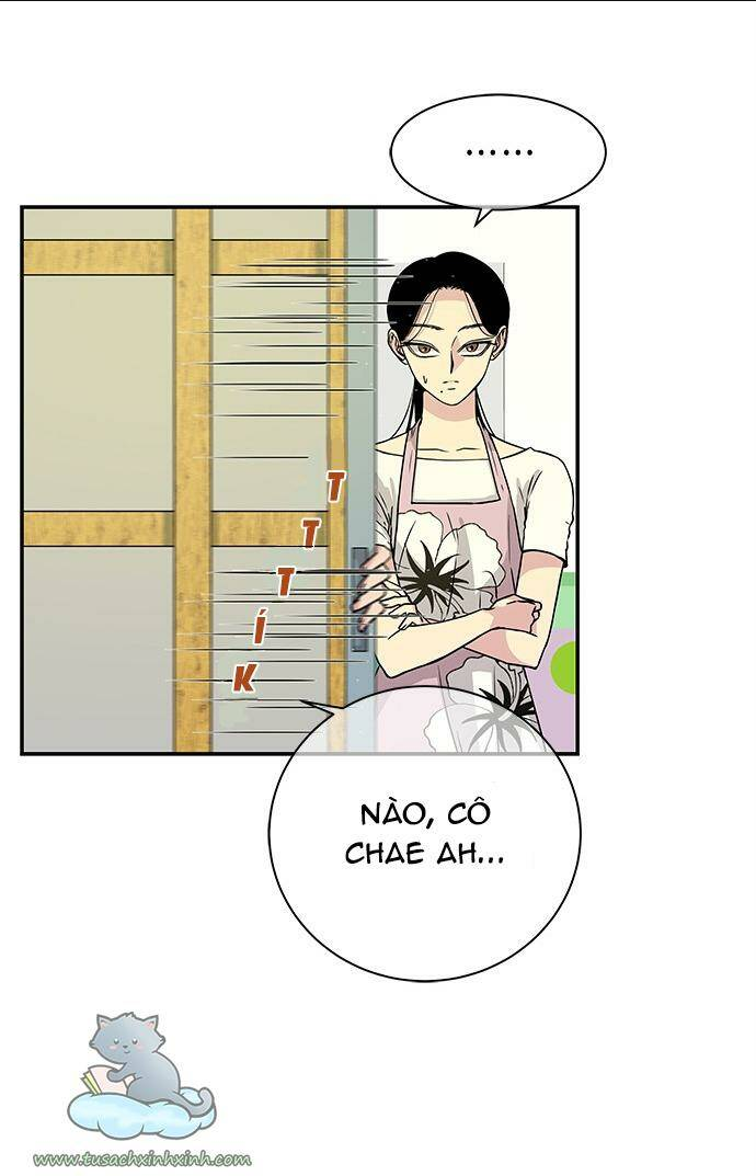 cạm bẫy chapter 6 - Next Chương 6