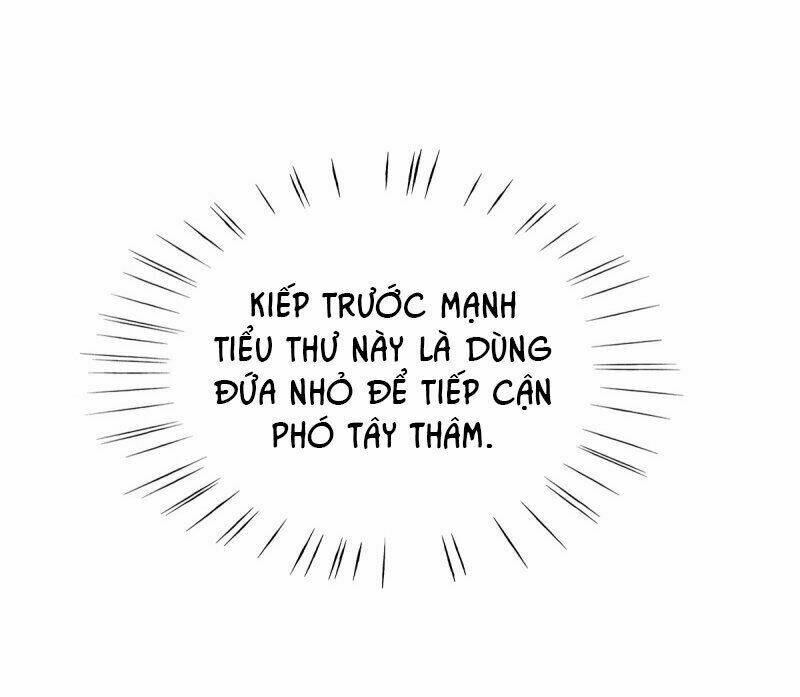 Cẩm Tú Trùng Sinh: Chào Buổi Sáng Phó Thái Thái Chapter 20 - Trang 2