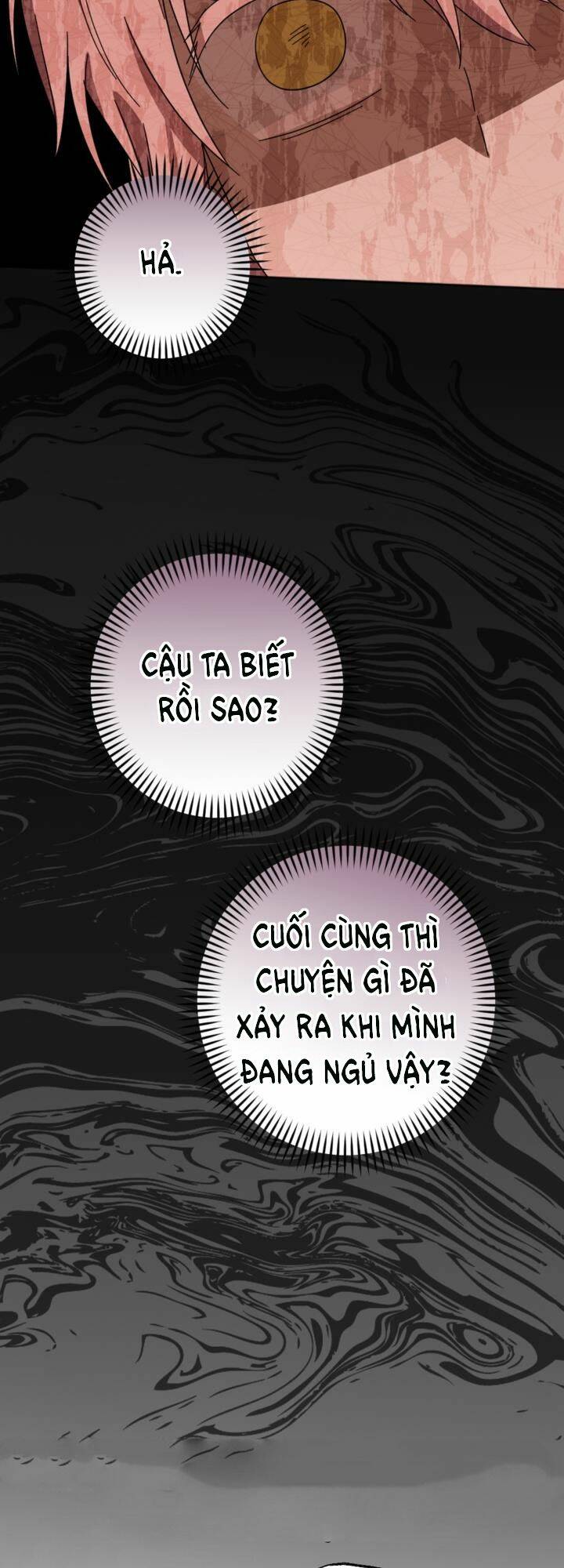 cậu ấy thức tỉnh khi tôi đã chết chapter 21 - Trang 2