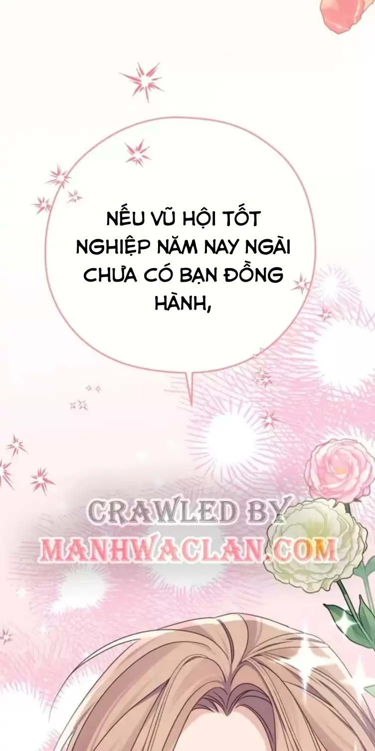 Cây Cúc Tây Thân Yêu Của Tôi Chapter 5 - Next Chapter 6