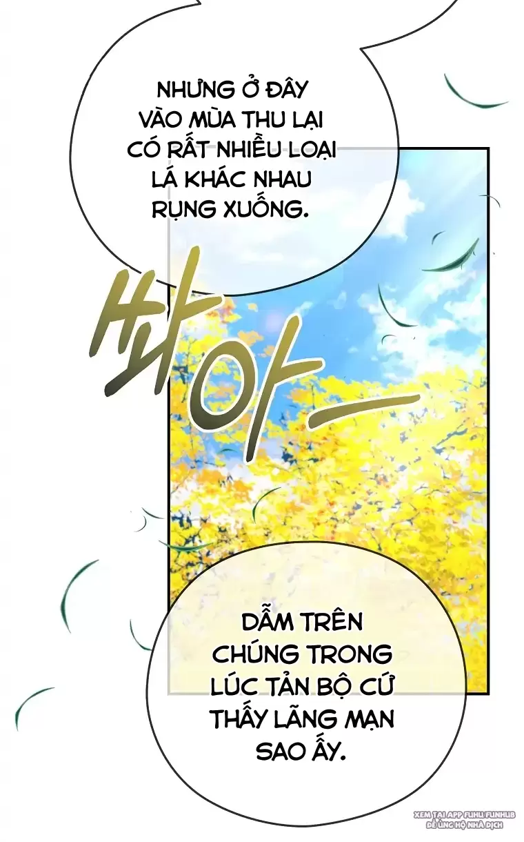 Cây Cúc Tây Thân Yêu Của Tôi Chapter 6 - Next Chapter 7