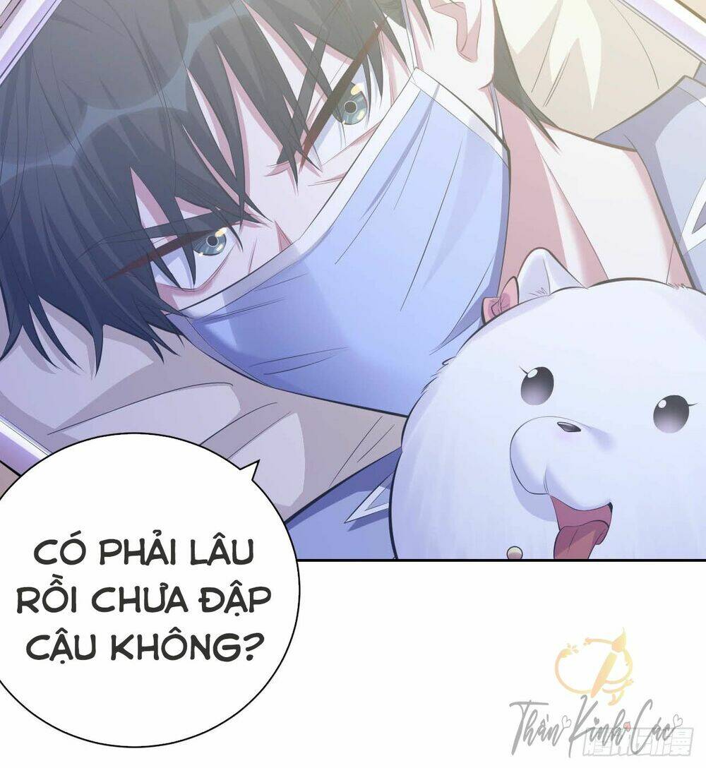 cha vợ đại nhân là bà xã chapter 28 - Next chapter 29