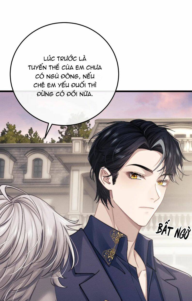 chấp sự thỏ cụp tai chapter 16 - Next chapter 17