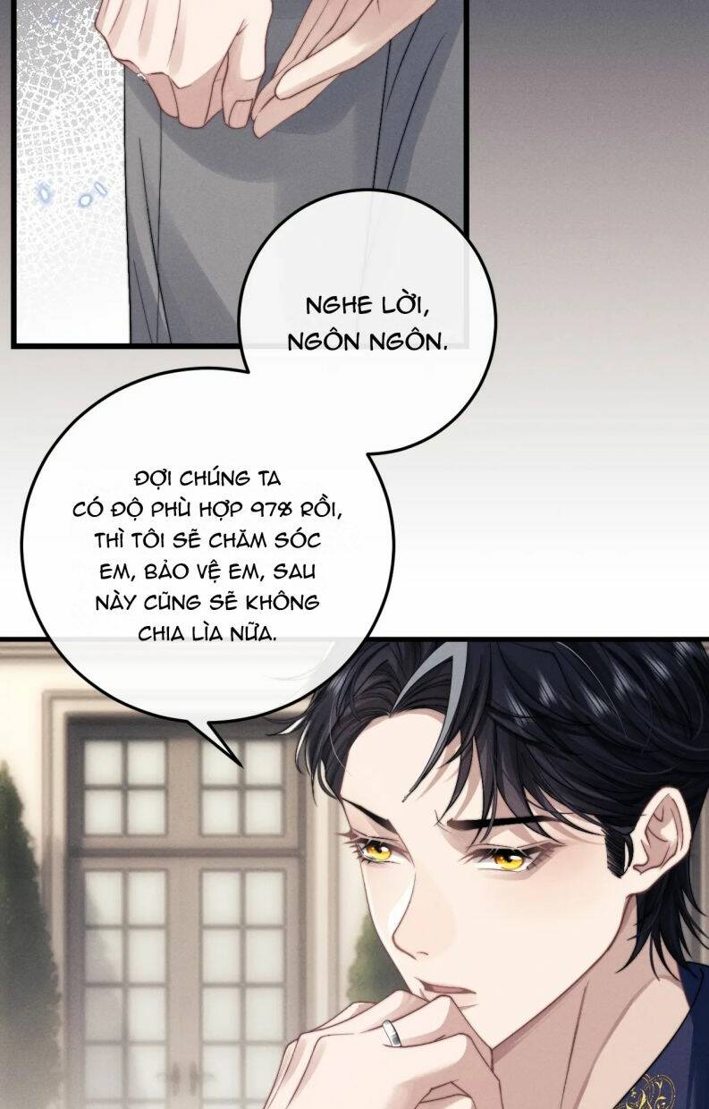 chấp sự thỏ cụp tai chapter 16 - Next chapter 17