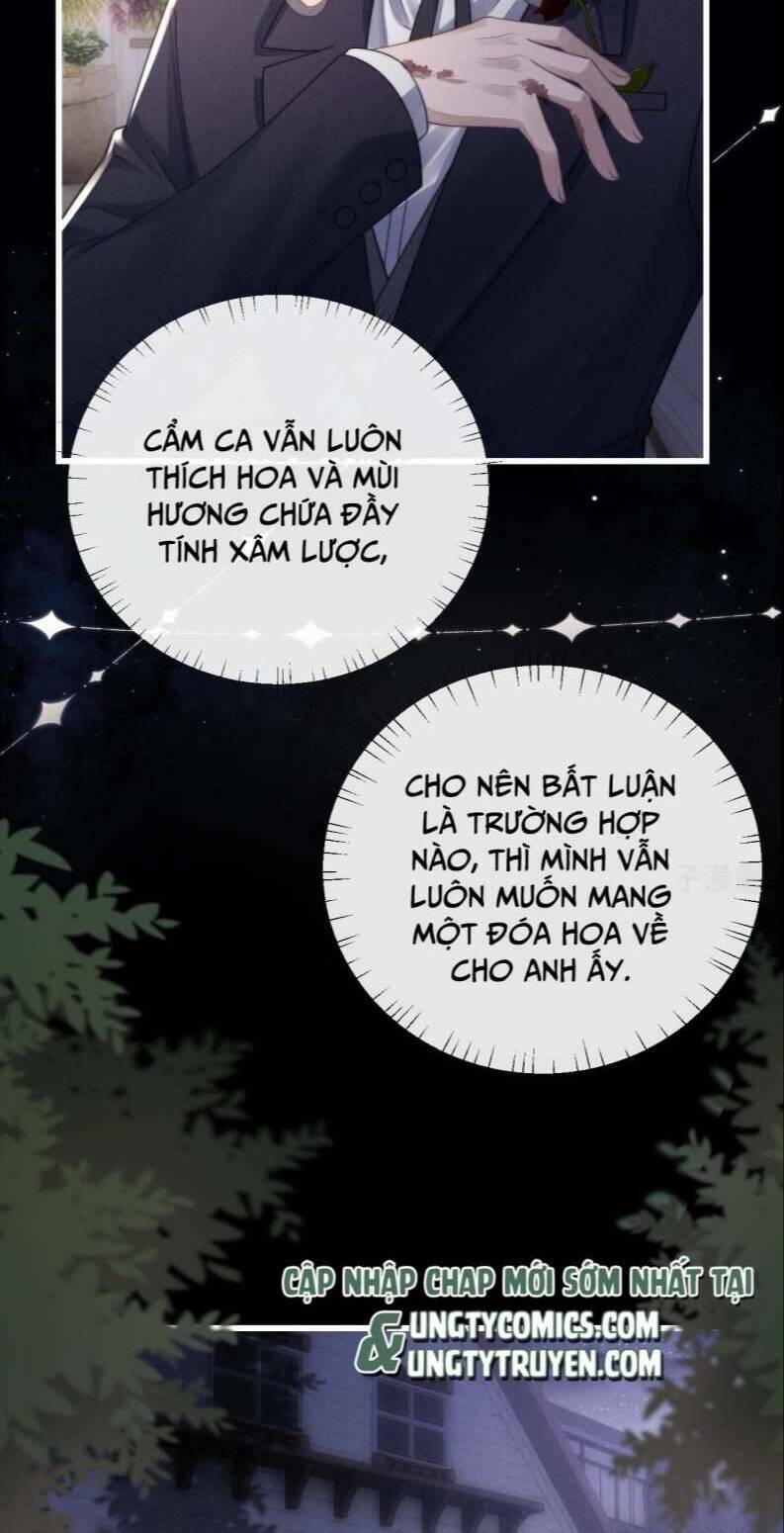 chấp sự thỏ cụp tai chapter 18 - Next chapter 19