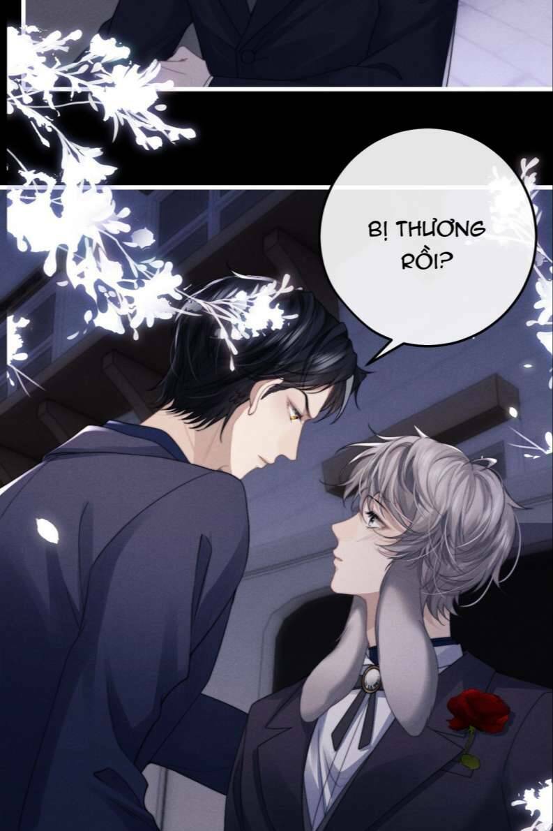 chấp sự thỏ cụp tai chapter 18 - Next chapter 19