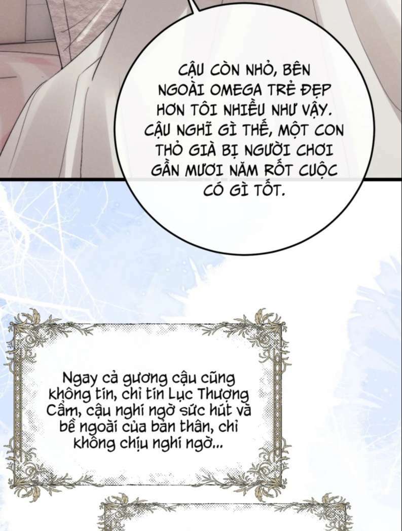 chấp sự thỏ cụp tai chapter 28 - Trang 2