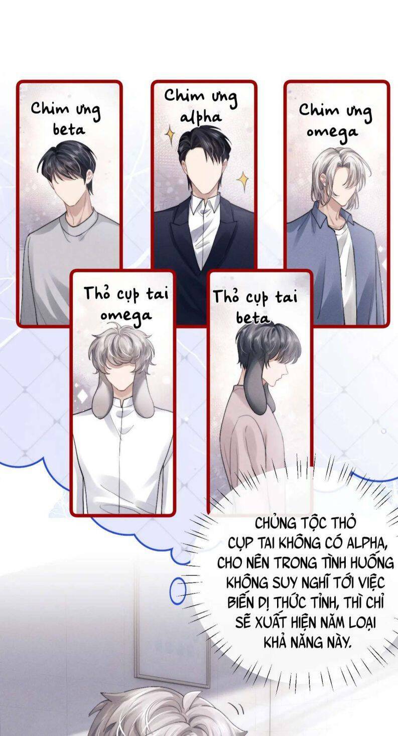 chấp sự thỏ cụp tai chapter 33 - Trang 2