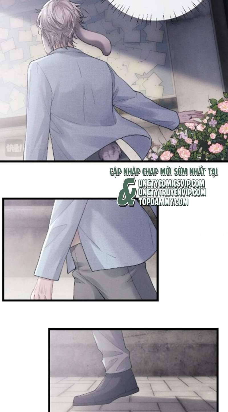 chấp sự thỏ cụp tai chapter 35 - Next chapter 36