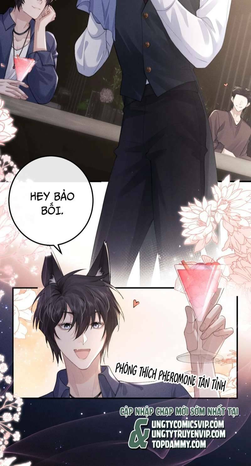 chấp sự thỏ cụp tai chapter 37 - Next chapter 38