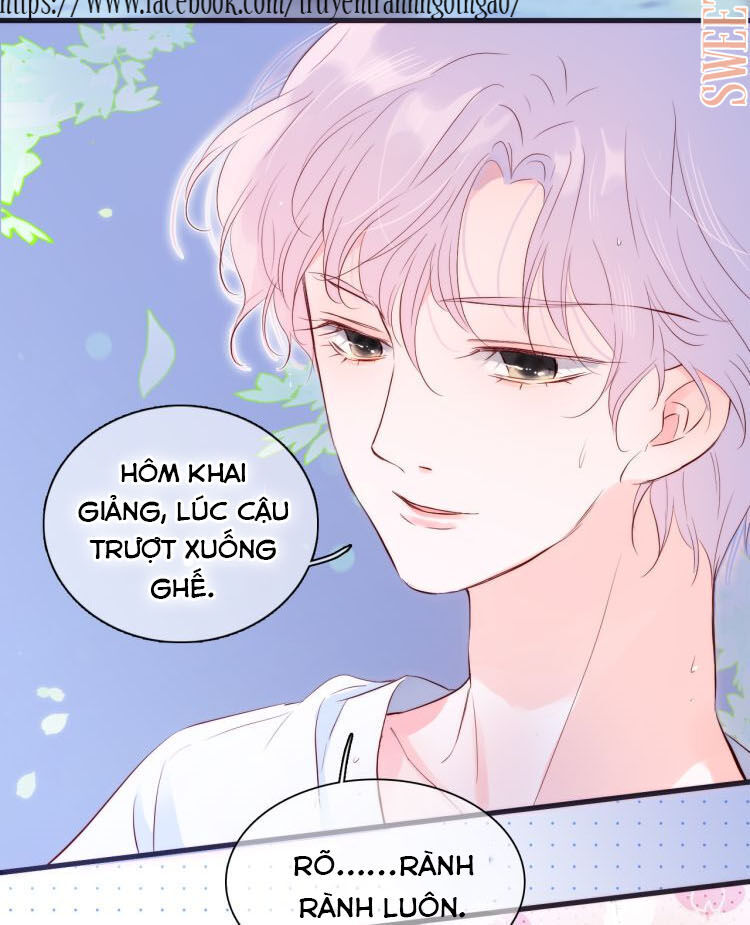 chạy trốn cùng con nhím chapter 4 - Next chapter 5