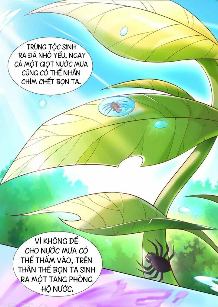 chí tôn trọng sinh chapter 154 - Trang 2