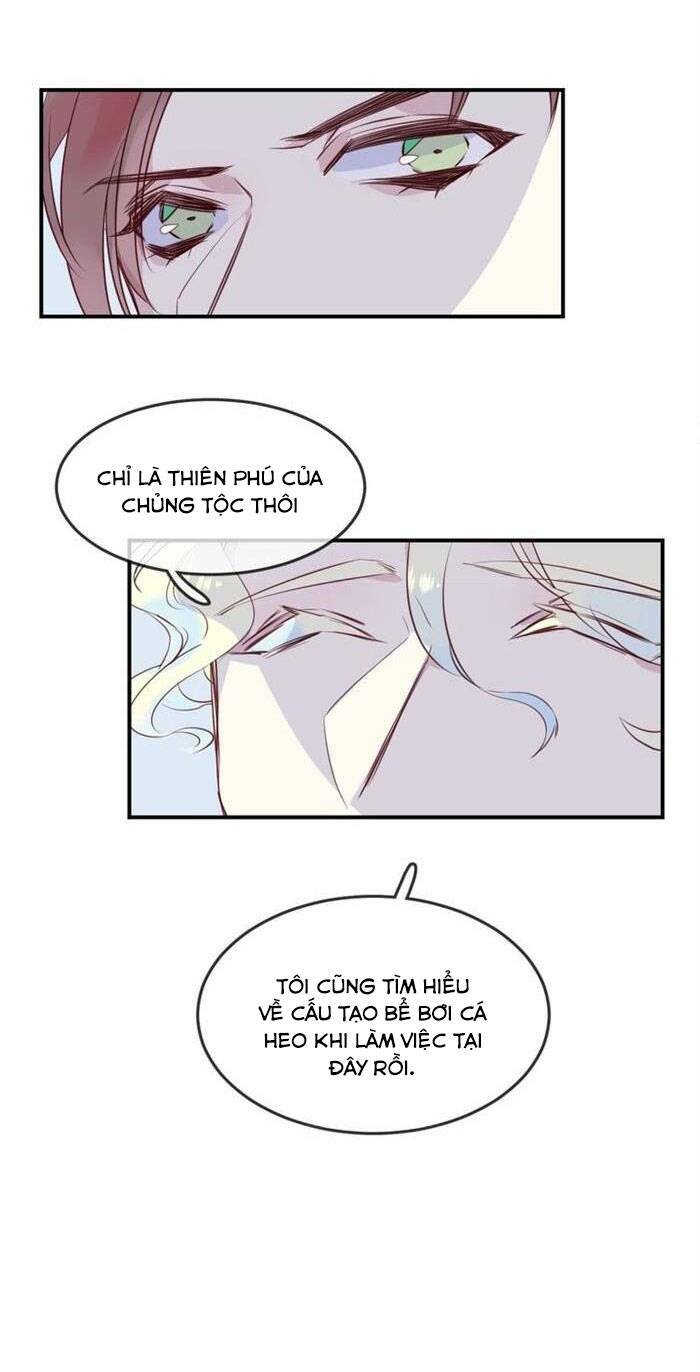 chiếc váy của người cá chapter 39 - Trang 2