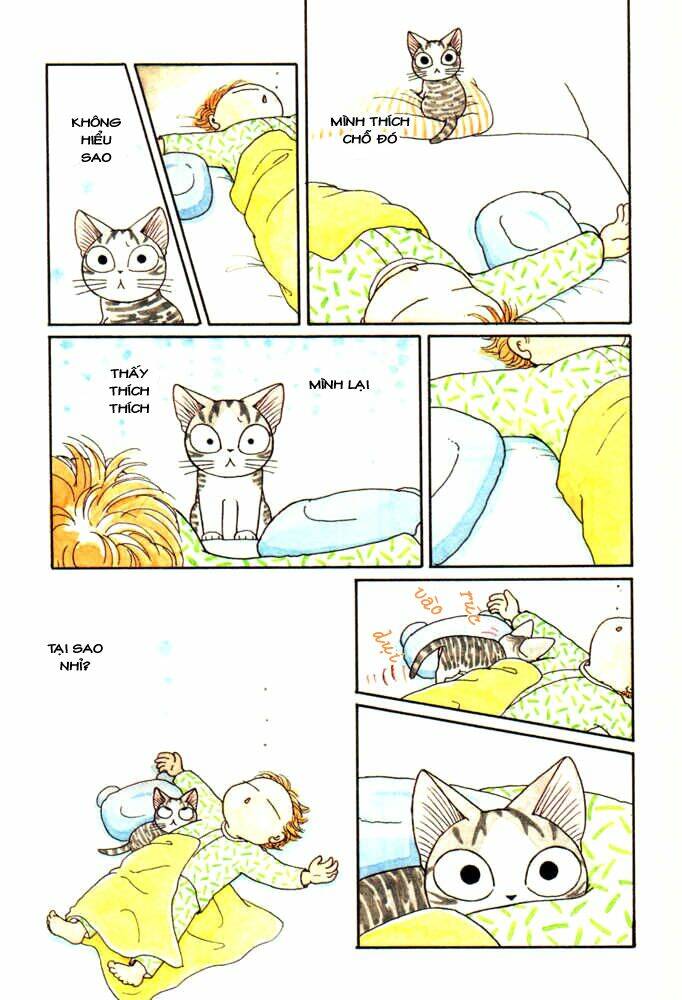 Chi's Sweet Home Chapter 23 - Trang 2