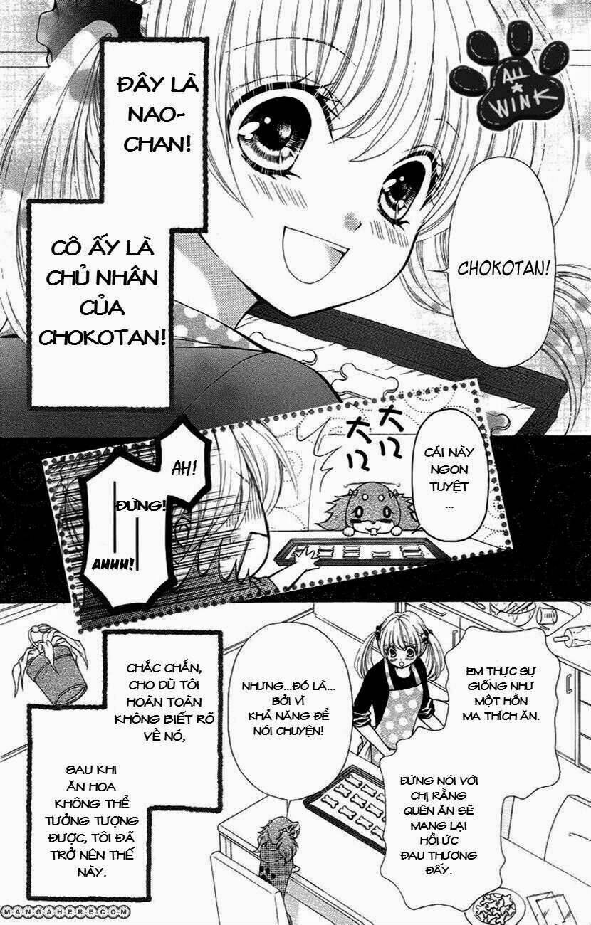 Chokotan! Chapter 1 - Trang 2