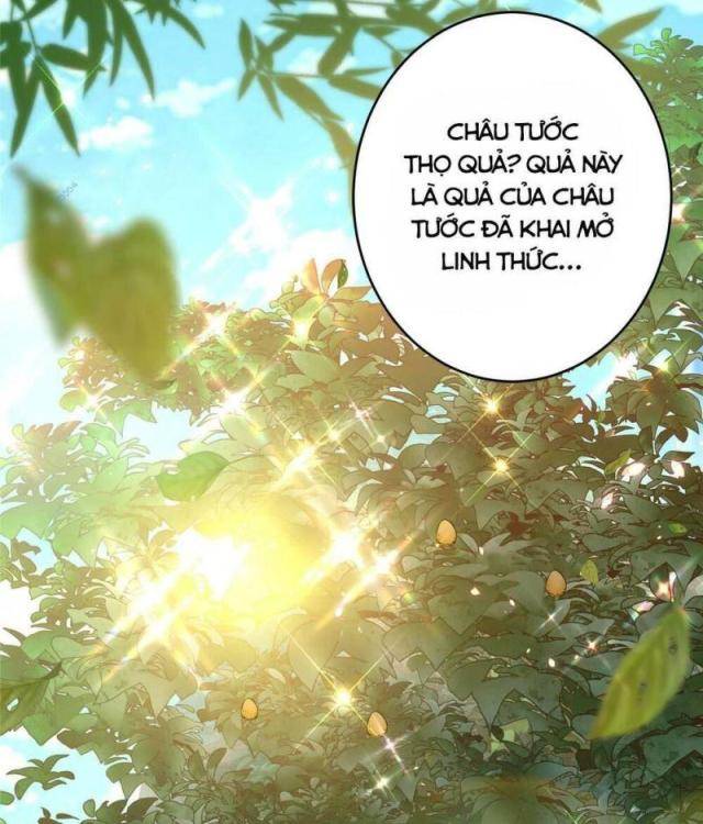 chưởng môn khiêm tốn chút chapter 183 - Next chapter 184