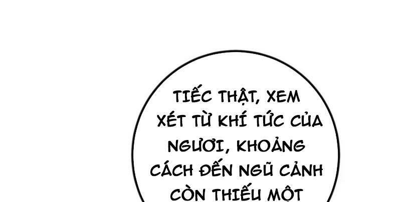 chưởng môn khiêm tốn chút chapter 291 - Trang 2