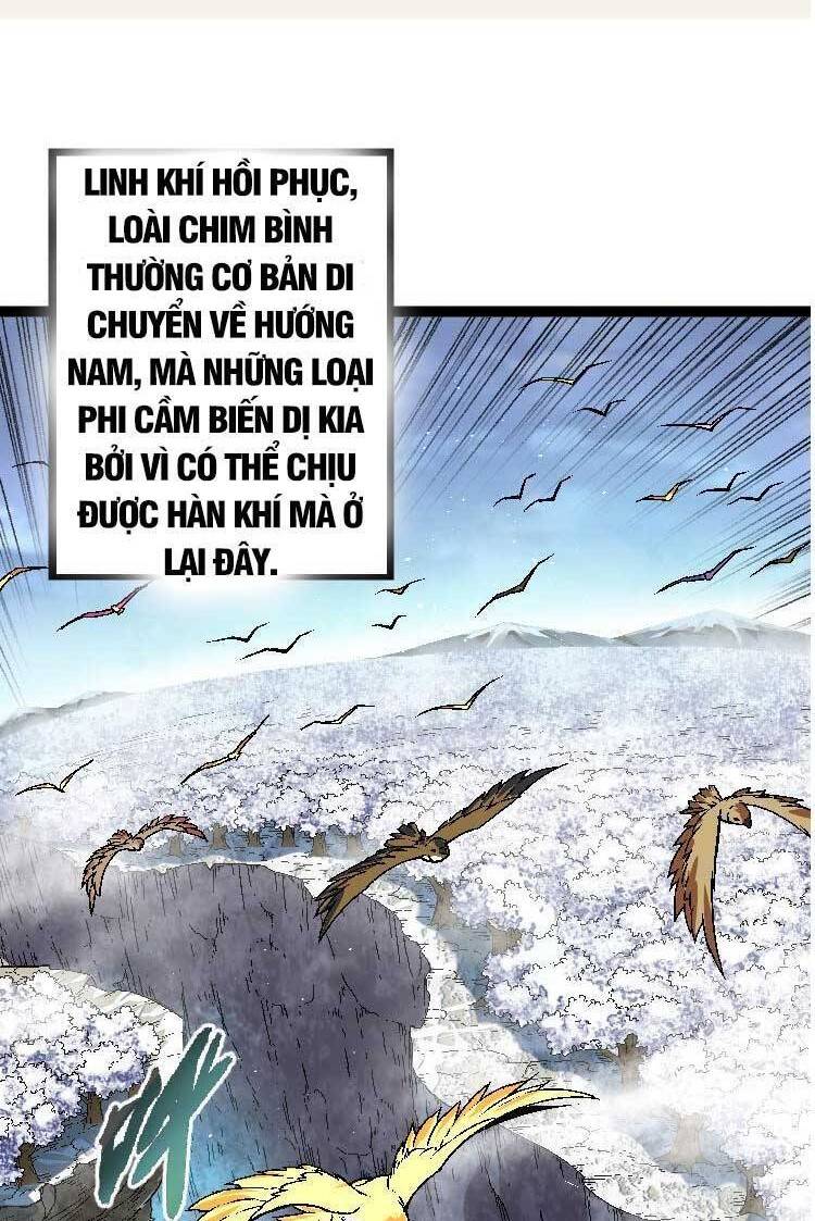 chuyển sinh thành liễu đột biến chapter 28 - Next chapter 29