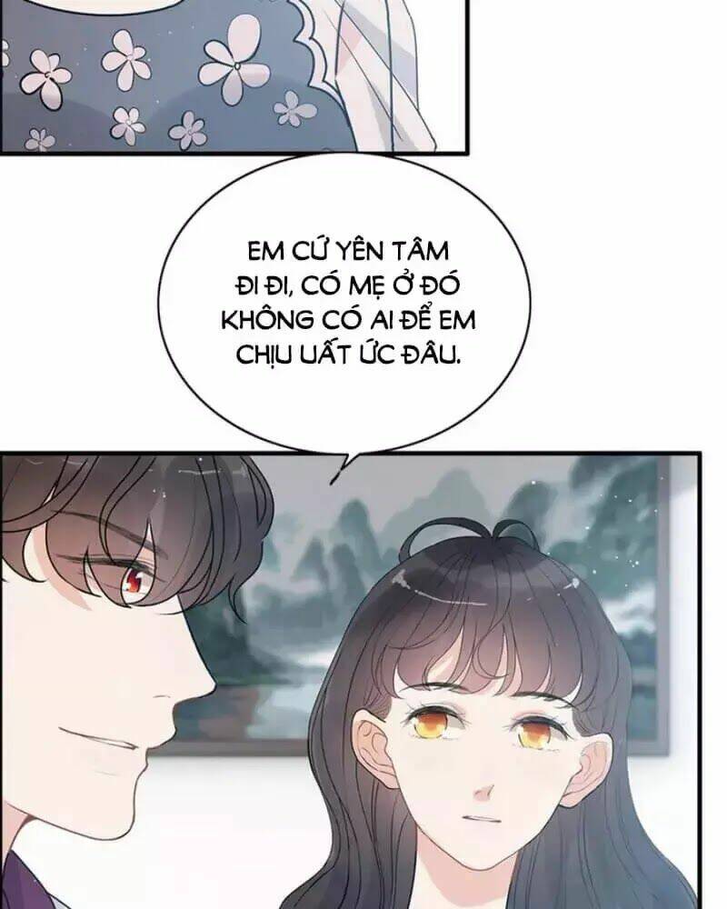 cô vợ hợp đồng bỏ trốn của tổng giám đốc chapter 236 - Trang 2