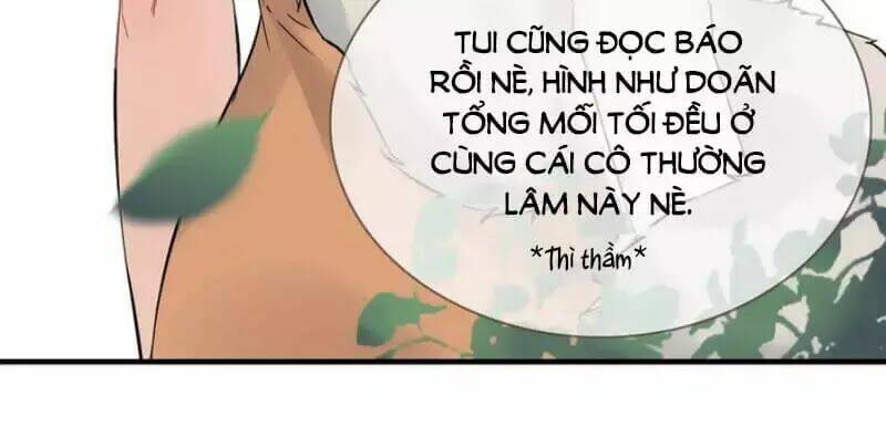 cô vợ hợp đồng bỏ trốn của tổng giám đốc chapter 243 - Trang 2