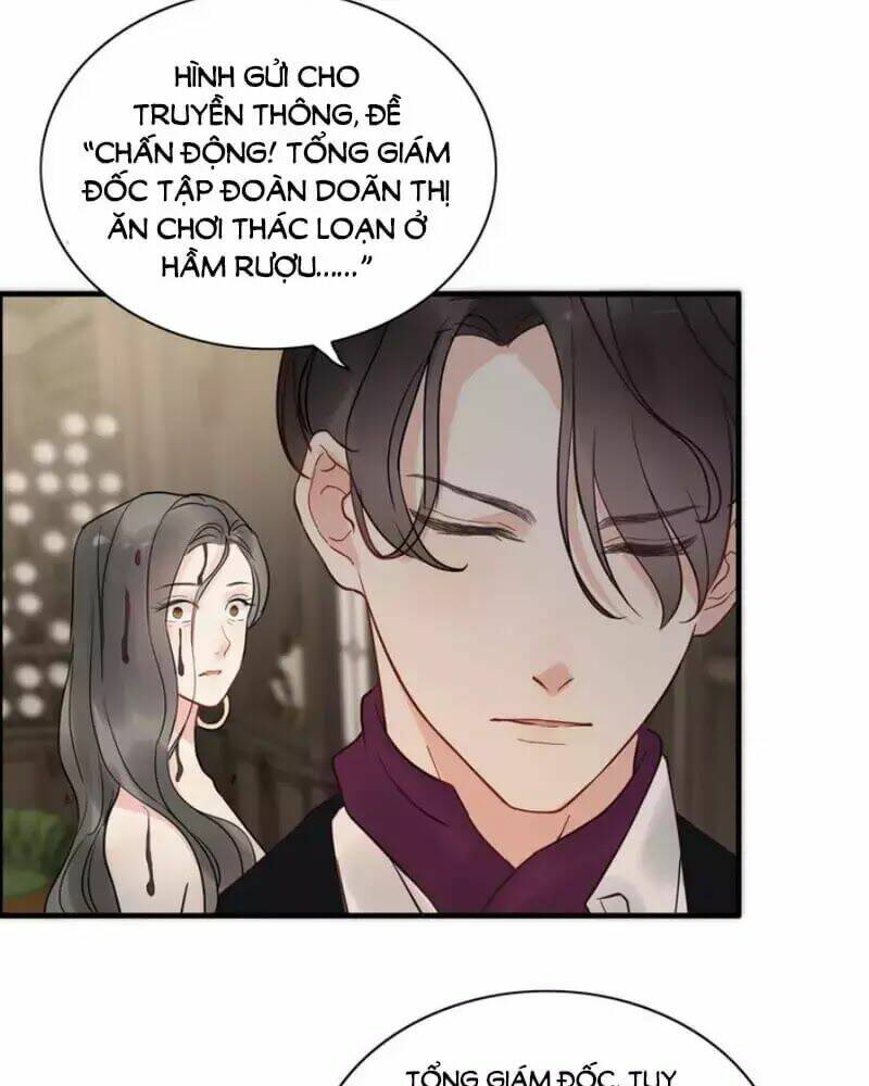 cô vợ hợp đồng bỏ trốn của tổng giám đốc chapter 243 - Trang 2