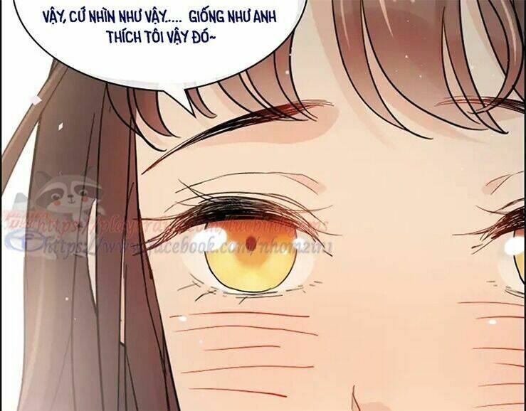 cô vợ hợp đồng bỏ trốn của tổng giám đốc chapter 316 - Trang 2