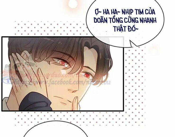 cô vợ hợp đồng bỏ trốn của tổng giám đốc chapter 316 - Trang 2