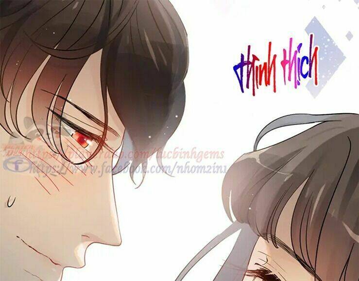 cô vợ hợp đồng bỏ trốn của tổng giám đốc chapter 316 - Trang 2