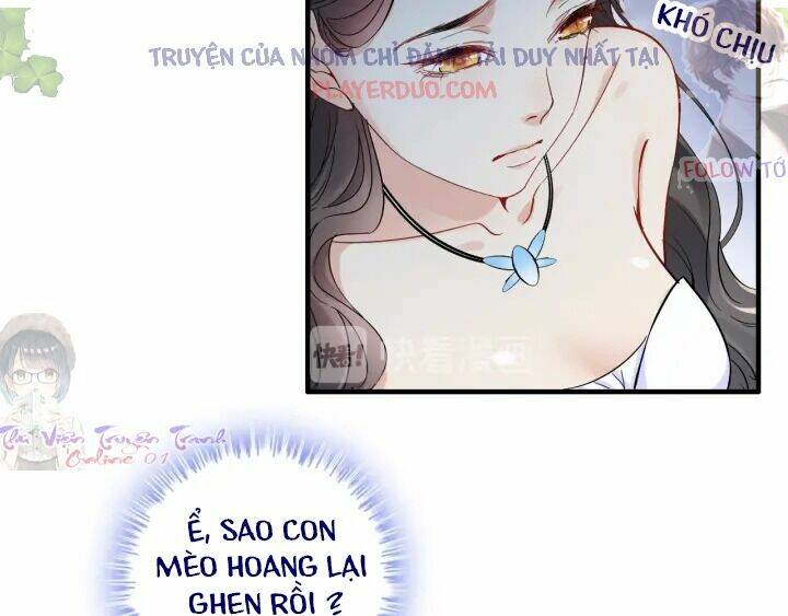 cô vợ hợp đồng bỏ trốn của tổng giám đốc chapter 323 - Trang 2