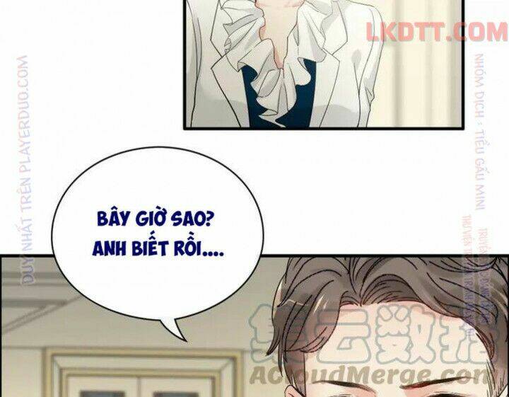 cô vợ hợp đồng bỏ trốn của tổng giám đốc chapter 331 - Trang 2