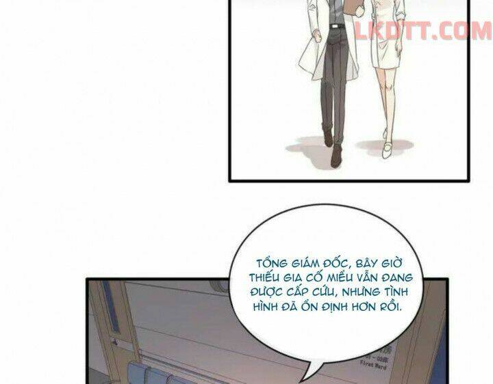 cô vợ hợp đồng bỏ trốn của tổng giám đốc chapter 332 - Trang 2