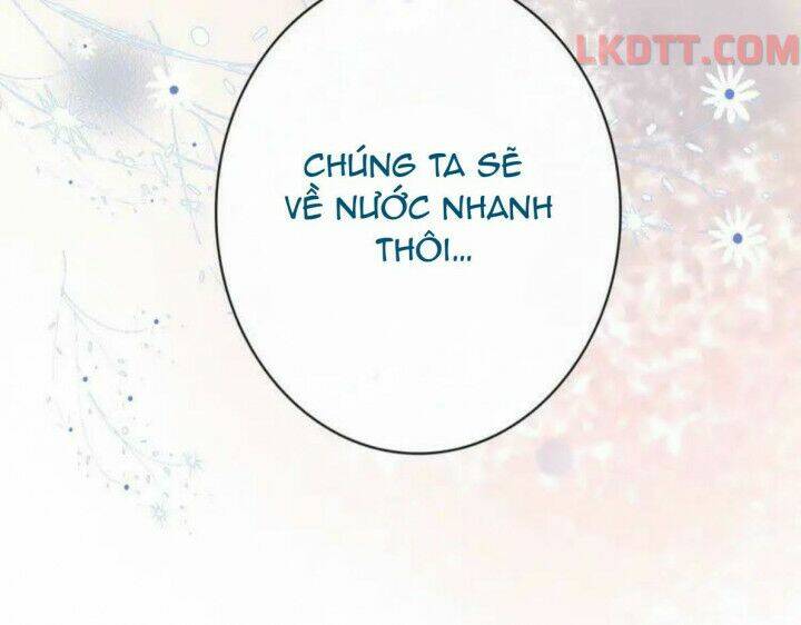 cô vợ hợp đồng bỏ trốn của tổng giám đốc chapter 332 - Trang 2