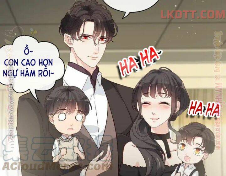 cô vợ hợp đồng bỏ trốn của tổng giám đốc chapter 338 - Trang 2