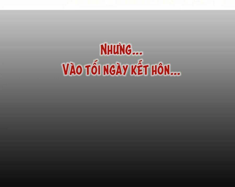 cô vợ hợp đồng lạnh lùng không dễ đụng đâu chapter 0 - Trang 2