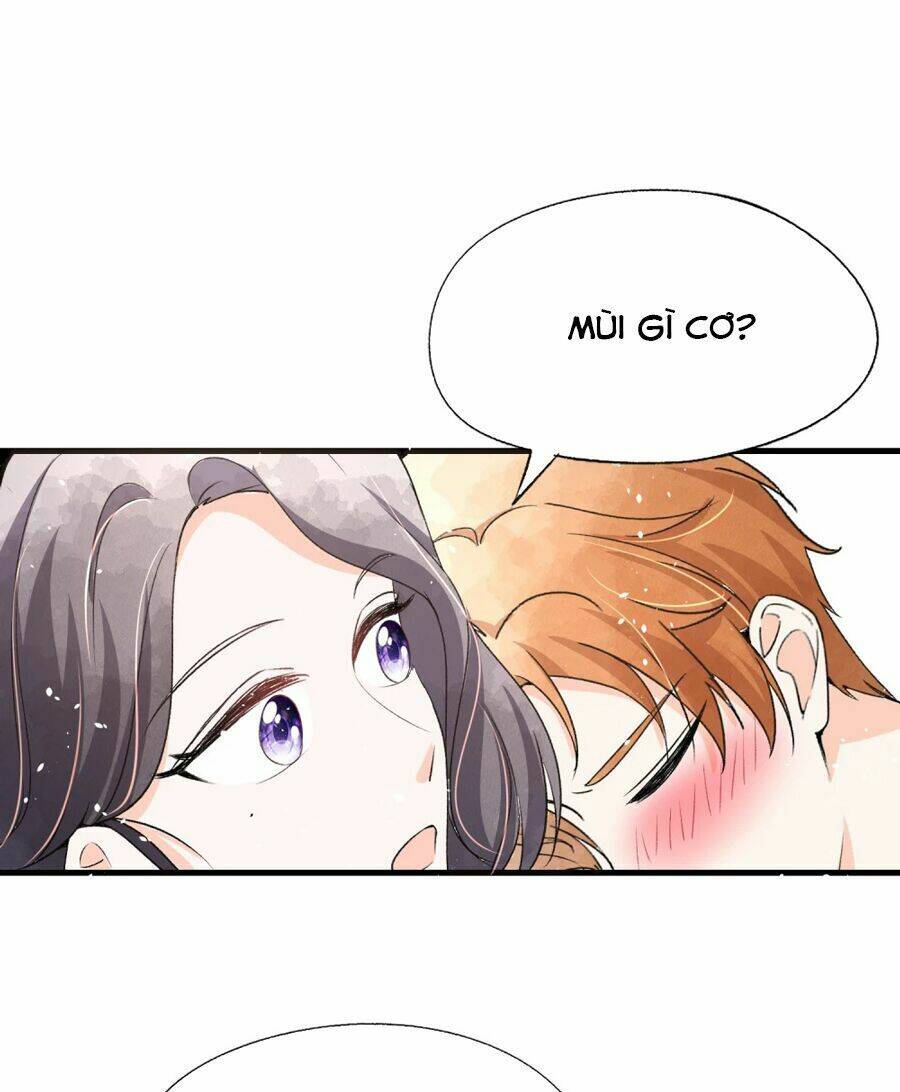 cô vợ hợp đồng lạnh lùng không dễ đụng đâu chapter 46 - Next chapter 47