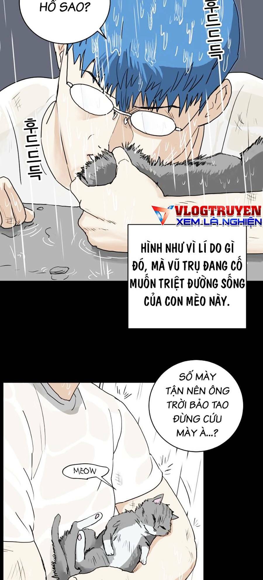 con mèo đô vật của tôi chapter 1 - Next chapter 2