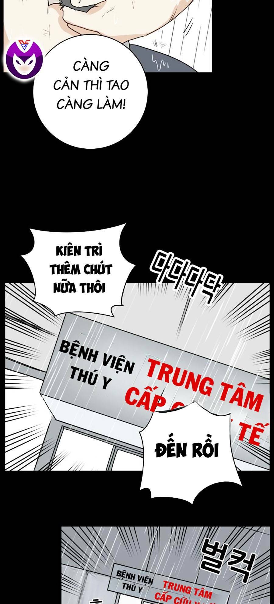 con mèo đô vật của tôi chapter 1 - Next chapter 2