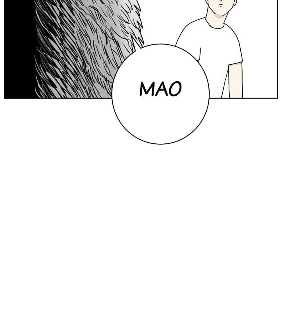 con mèo đô vật của tôi chapter 1 - Next chapter 2