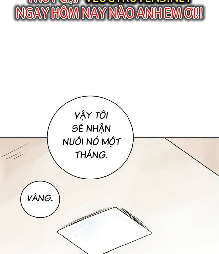 con mèo đô vật của tôi chapter 1 - Next chapter 2