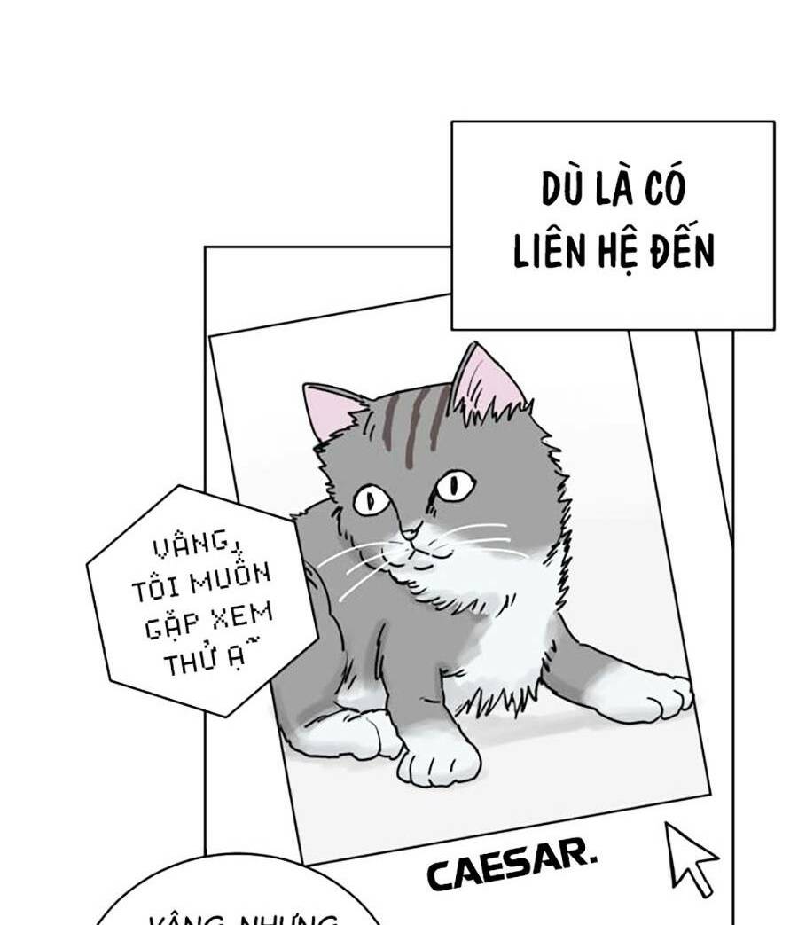 con mèo đô vật của tôi chapter 1 - Next chapter 2