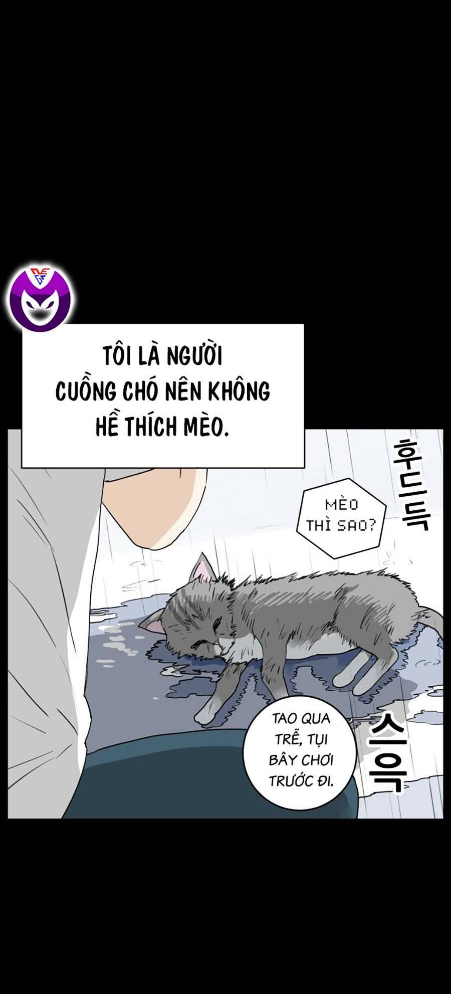 con mèo đô vật của tôi chapter 1 - Next chapter 2