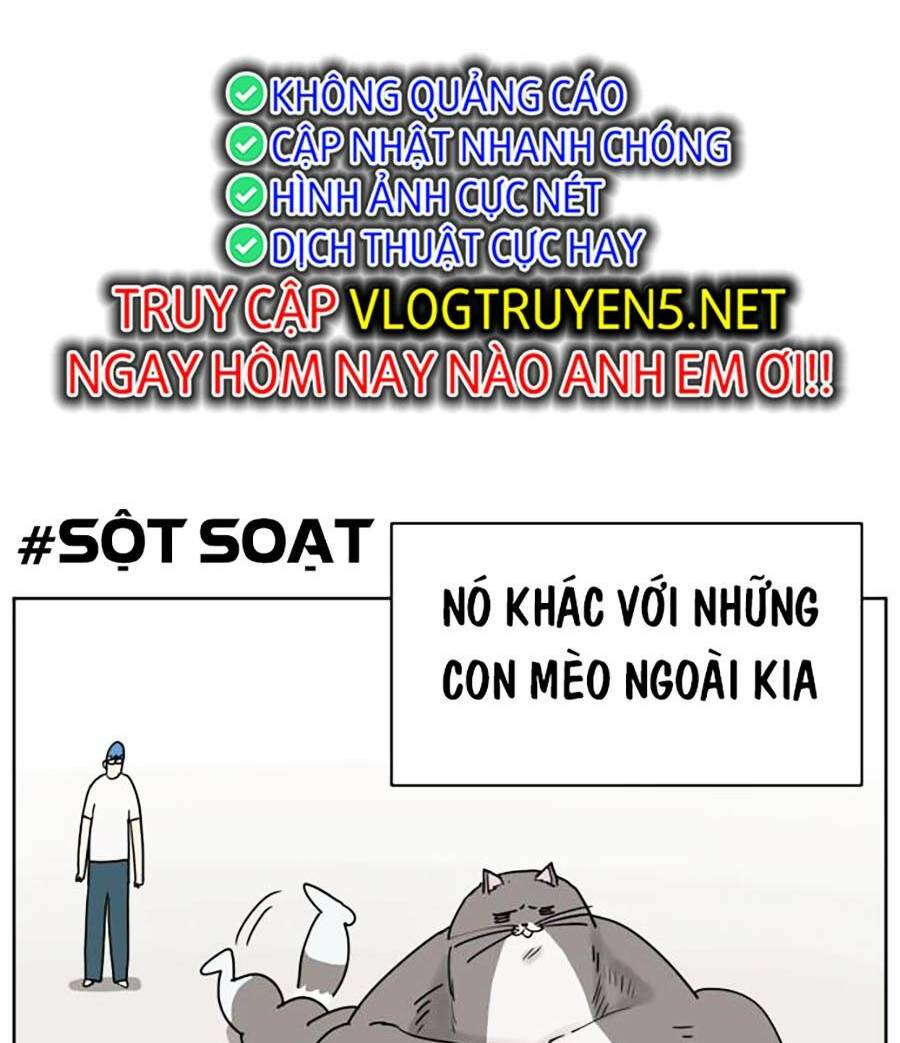 con mèo đô vật của tôi chapter 1 - Next chapter 2