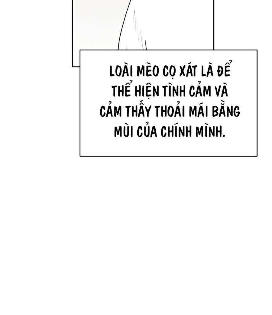 con mèo đô vật của tôi chapter 1 - Next chapter 2