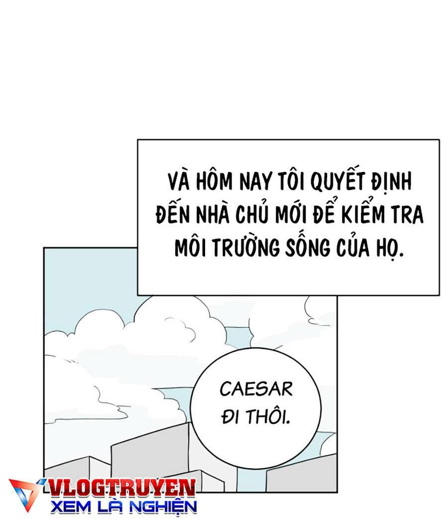 con mèo đô vật của tôi chapter 2 - Next chapter 3