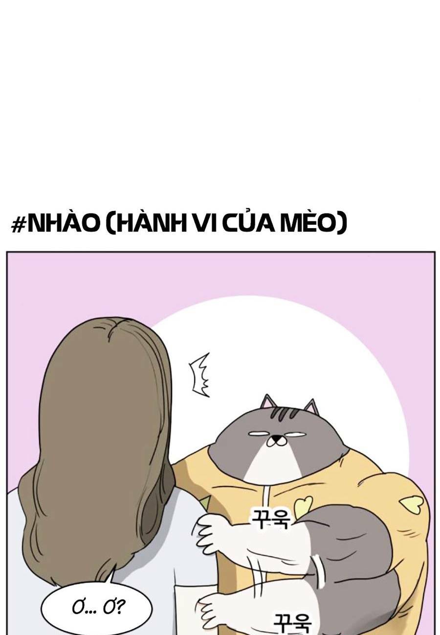 con mèo đô vật của tôi chapter 3 - Next chapter 4