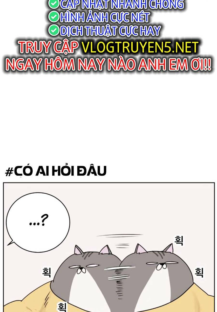 con mèo đô vật của tôi chapter 3 - Next chapter 4