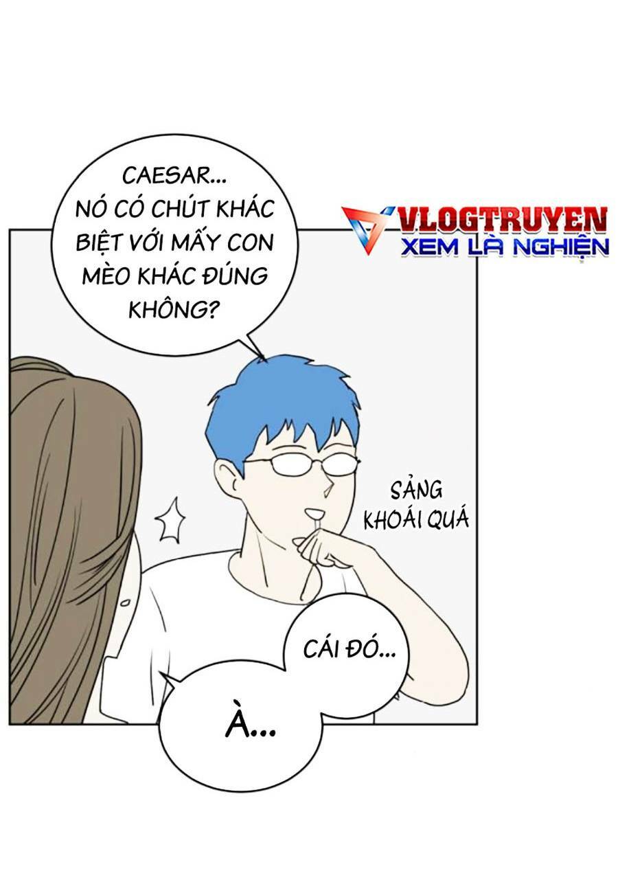 con mèo đô vật của tôi chapter 3 - Next chapter 4