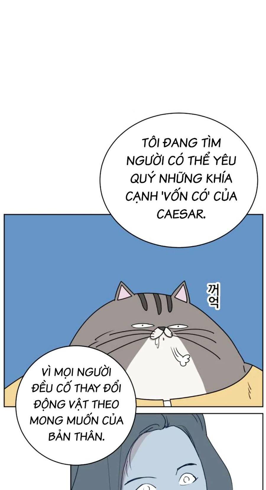 con mèo đô vật của tôi chapter 3 - Next chapter 4