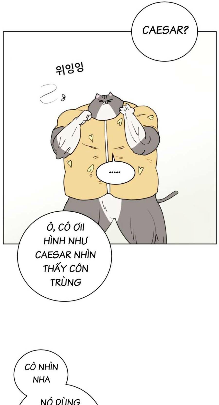 con mèo đô vật của tôi chapter 3 - Next chapter 4